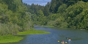 Russian River Photo Credit: https://www.sonomacounty.com
